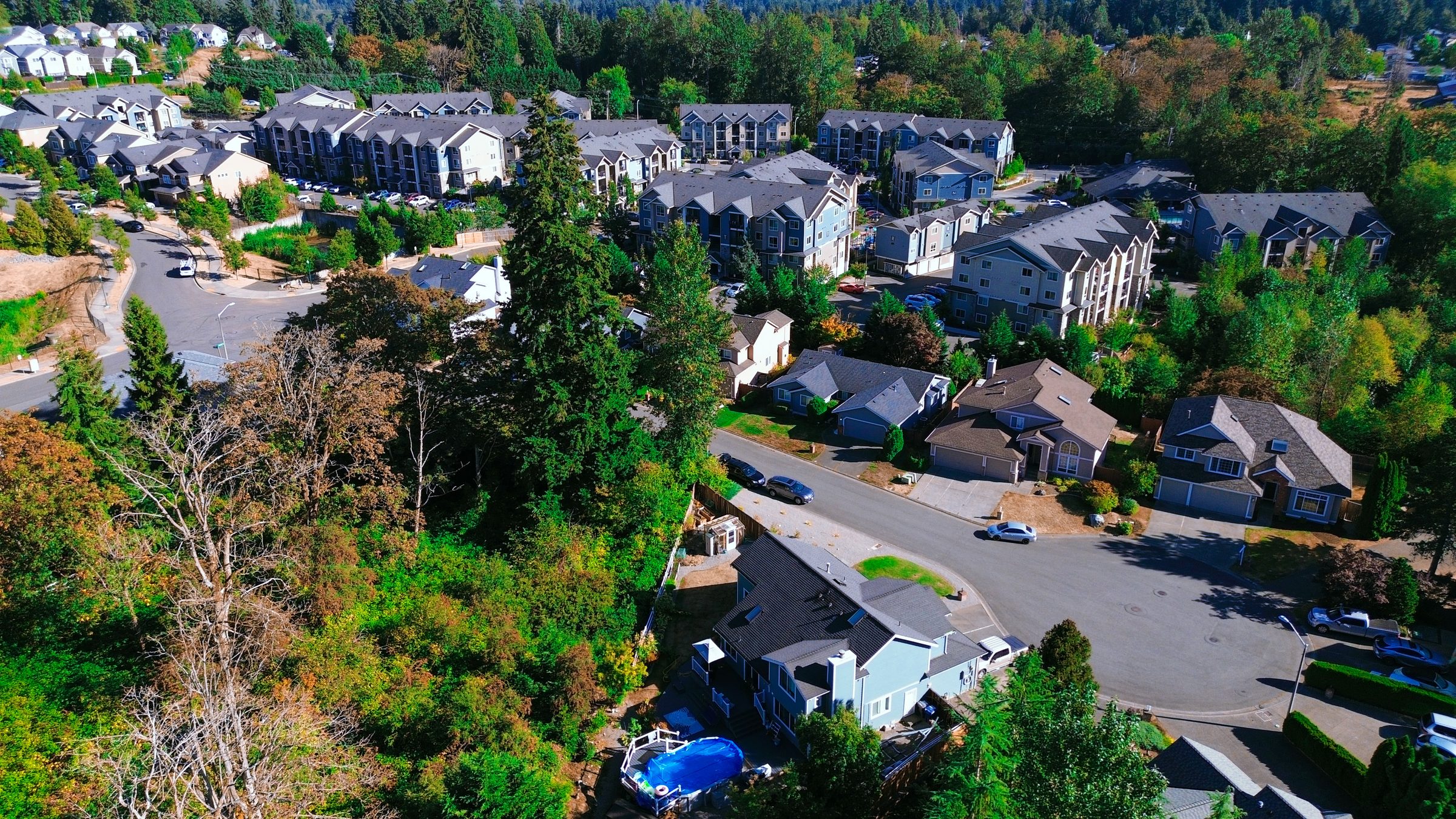 Compassion Haven Grounds